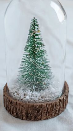 a small green christmas tree under a glass dome on top of a wooden base covered in snow