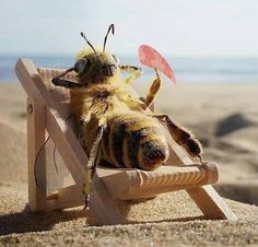 a stuffed bee is sitting on a beach chair with its head in the sand and it's eyes closed