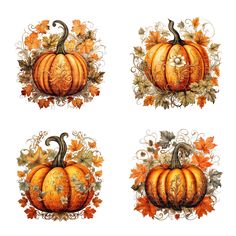 four pumpkins with leaves and vines around them on a white background, each painted in different colors