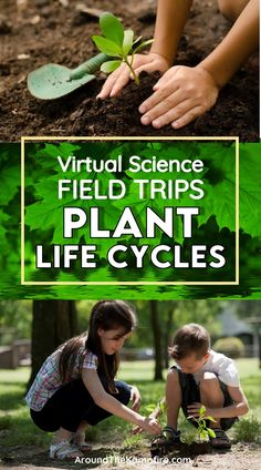 two children planting plants in the ground with text overlay that reads virtual science field trips plant life cycles