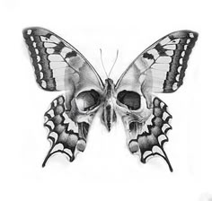 a black and white drawing of a butterfly on a white background with the wings open