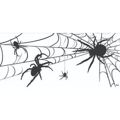 three spider webs hanging from the ceiling in front of a white wall with two black widowes on it