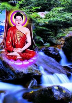 a buddha statue sitting on top of a rock next to a stream in the forest