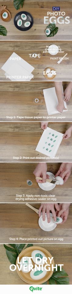 the instructions for how to make paper plates