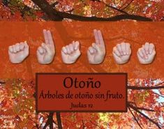 five fingers are arranged in the shape of an orange tree with red leaves behind them