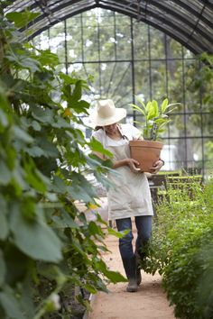 a woman carrying a plant in a greenhouse