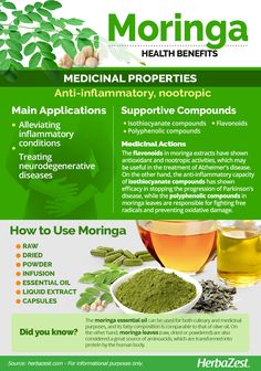 Moringa | HerbaZest Benefits Of Moringa, Moringa Benefits, Tomato Nutrition, Calendula Benefits, Fruit Health Benefits, Moringa Leaves, Matcha Benefits, Lemon Benefits, Coconut Health Benefits