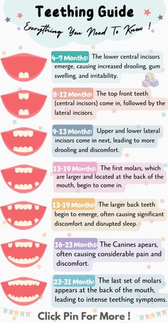 an info sheet with different types of teeth and mouth shapes on the bottom right hand corner