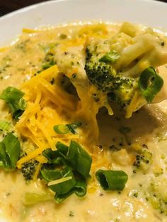 broccoli and cheese soup in a white bowl