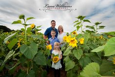 a family standing in the middle of a sunflower field