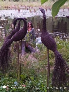 a woman sitting in the grass next to two purple peacocks that are standing near water