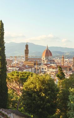 the city is surrounded by trees and mountains