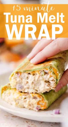 a hand holding a tuna melt wrap over a white plate