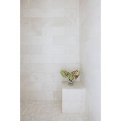 a vase with flowers sitting on top of a white shelf in a room filled with tiles