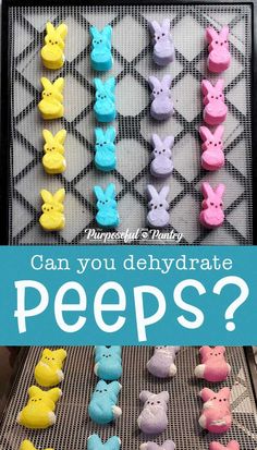 an image of peeps with the text can you dehydrate peeps?