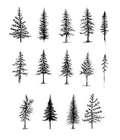 Pine Tree Tattoo Drawing, Pin Tree Tattoo, Matching Pine Tree Tattoos, Two Pine Trees Tattoo, Cactus Pine Tree Tattoo, Neck Tree Tattoo, Oregon Pine Tree Tattoo, Three Pine Trees Tattoo, Small Pine Tree Tattoo Simple