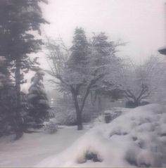 a snow covered street with trees in the background