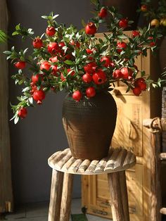 a potted plant sitting on top of a wooden stool