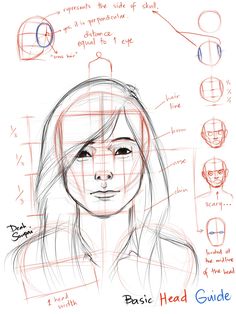 a drawing of a woman's face with different facial expressions and head shapes, including the