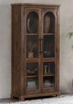 a tall wooden cabinet with glass doors and shelves on the top, in front of a potted plant