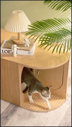 a cat standing inside of a wooden cabinet under a lamp next to a palm tree