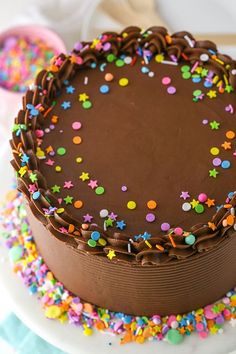 a chocolate birthday cake with sprinkles on it