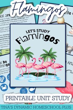 flamingos are standing in the water next to each other with text that reads, let's study flamingos printable unit study