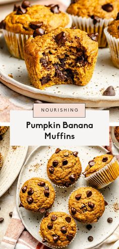 pumpkin banana muffins with chocolate chips on top and the title reads nourishing pumpkin banana muffins