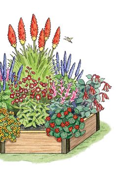 an illustration of a garden with flowers and plants in the center, including red tulips