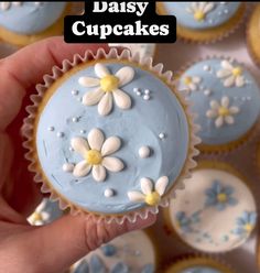 a hand holding a cupcake with blue frosting and daisies on it, in front of other cupcakes