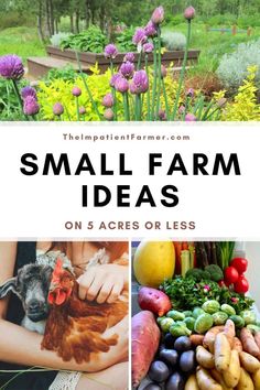 small farm ideas on 5 areas or less