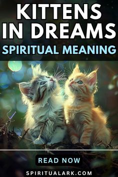 at the top of this post is the title that says, "kittens in dreams, spiritual meaning", at the center of this post is a photo of two kittens in an outside environment sitting while looking at the colorful lights around them, below the photo of the main subject is a button that contains the words "read now", and at the very bottom of this post is the website source which is "SpiritualArk.com"