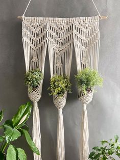 three macrame plant hangers with succulents and plants in them