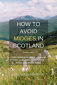 the cover of how to avoid midges in scotland, with mountains in the background