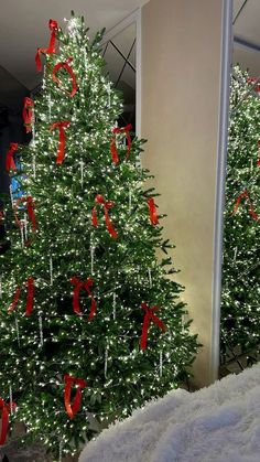 two christmas trees are decorated with red bows