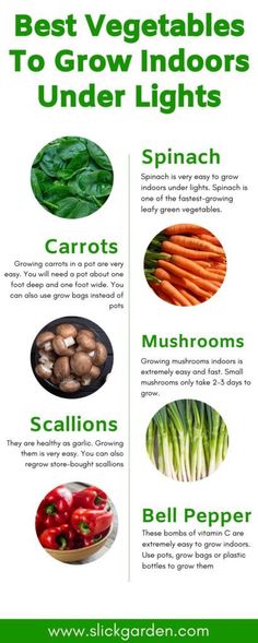 the best vegetables to grow indoors under lights info sheet with pictures and text on it