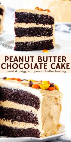 chocolate peanut butter cake on a white plate with the words, chocolate peanut butter cake