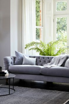 a living room filled with furniture and a plant in front of a window on top of a rug