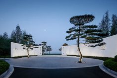 an empty driveway with trees in the middle and white walls on either side, at dusk