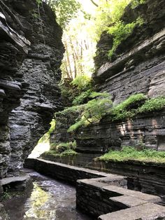 a river flowing through a lush green forest next to tall rock walls covered in greenery