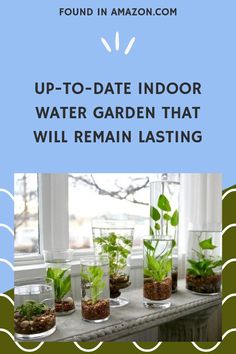 an advertisement with plants in glass vases and text that reads, up - to - date indoor water garden that will remain sitting