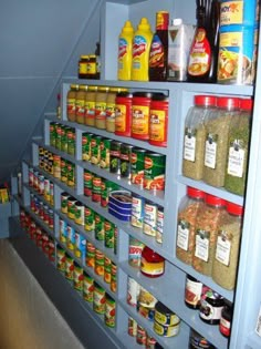 an organized pantry with spices and condiments