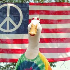 a duck wearing a tie - dye shirt with a peace sign in the background