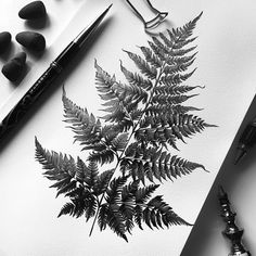 Fern Tattoo Design Masterpiece Fern Neck Tattoo, Fern Tattoo Design Leaves, Botanical Fern Tattoo, Fern Shoulder Tattoo, Fern Leaf Drawing, Pnw Fern Tattoo, Botany Tattoo