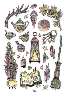 an illustration of various items that are in the shape of a circle with stars and leaves