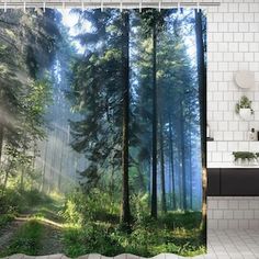 a shower curtain with a forest scene in the background and sunlight coming through the trees