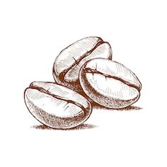 three coffee beans on a white background