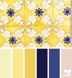 a yellow and blue color scheme with white flowers