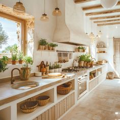 a kitchen filled with lots of counter top space and potted plants on the counters