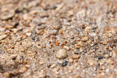 the dirt is covered with small rocks and gravel